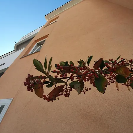 Julian Гостевой дом 3*