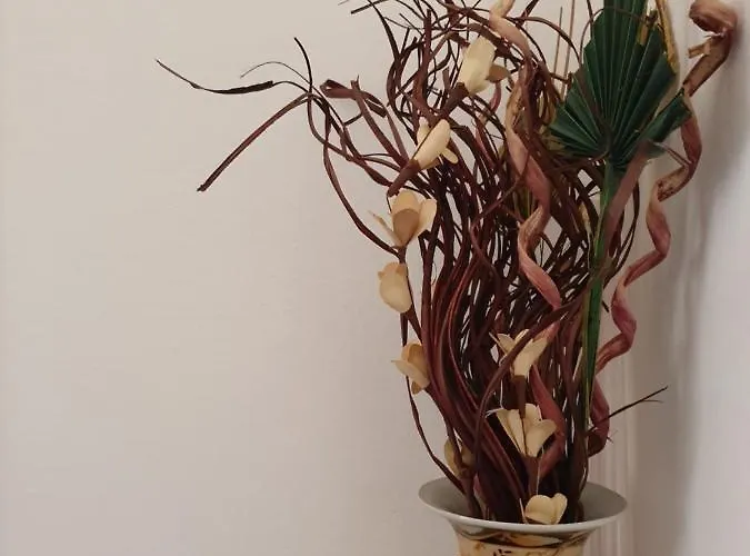 בית הארחה Julian