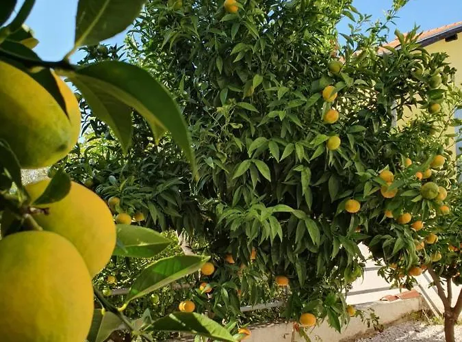 Julian בית הארחה