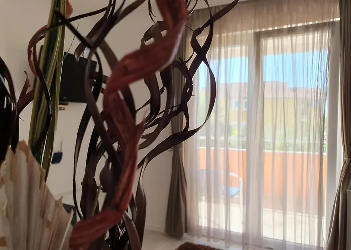 Julian Guest house 3*